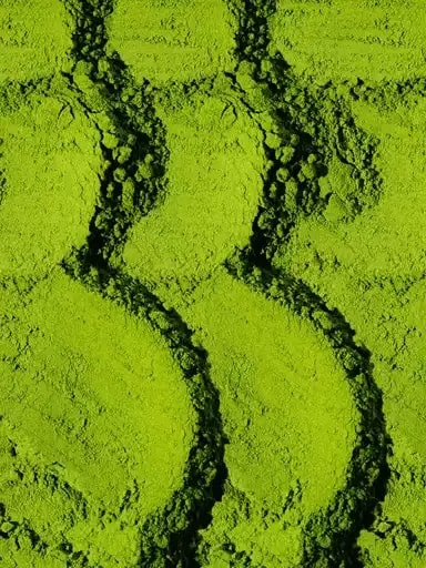 Matcha green tea powder